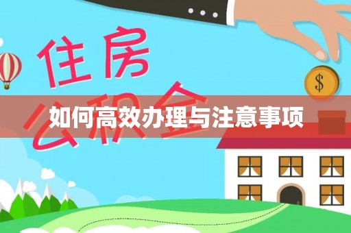 镇海如何高效办理与注意事项