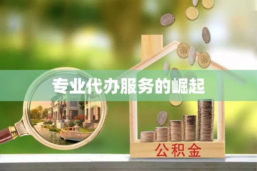 镇海专业代办服务的崛起