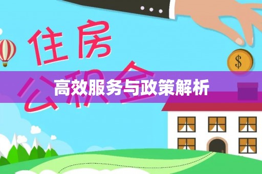 镇海高效服务与政策解析