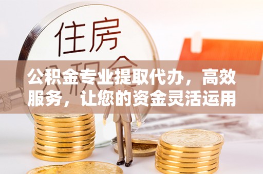 镇海公积金专业提取代办，高效服务，让您的资金灵活运用