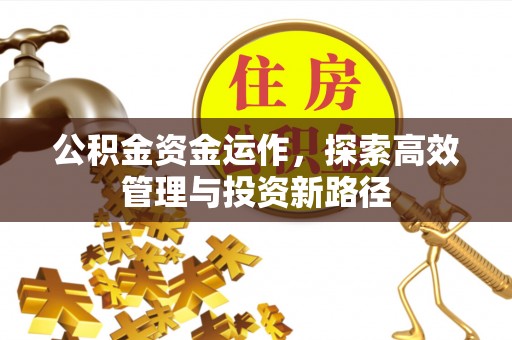 镇海公积金资金运作，探索高效管理与投资新路径