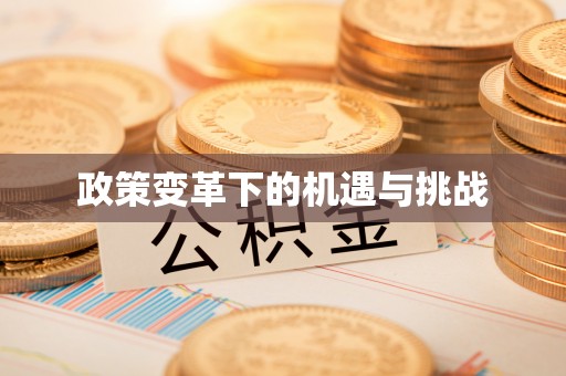 镇海政策变革下的机遇与挑战