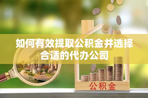 镇海如何有效提取公积金并选择合适的代办公司