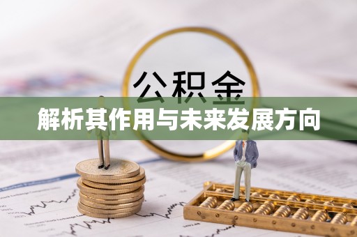 镇海解析其作用与未来发展方向